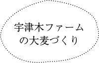 宇津木ファームの大麦