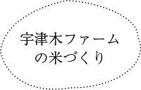 宇津木ファームの米づくり